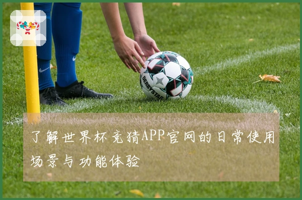 了解世界杯竞猜APP官网的日常使用场景与功能体验