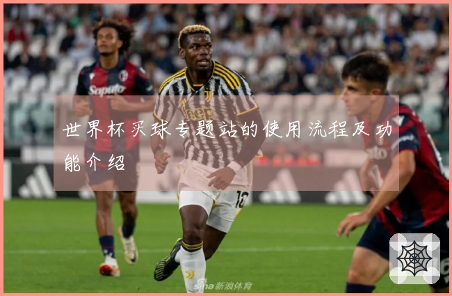世界杯买球专题站的使用流程及功能介绍
