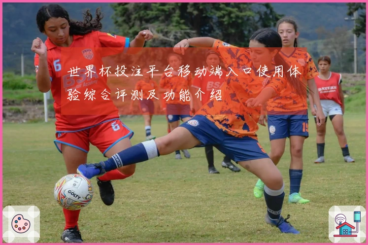 世界杯投注平台移动端入口使用体验综合评测及功能介绍