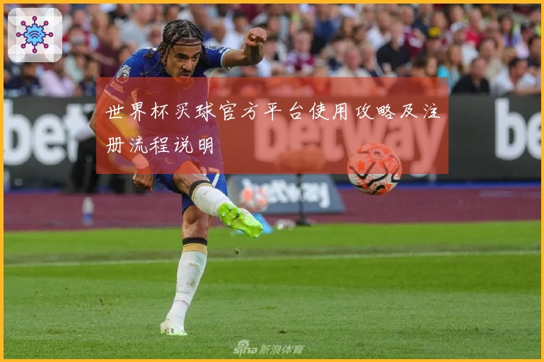 世界杯买球官方平台使用攻略及注册流程说明