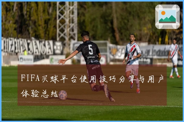 FIFA买球平台使用技巧分享与用户体验总结