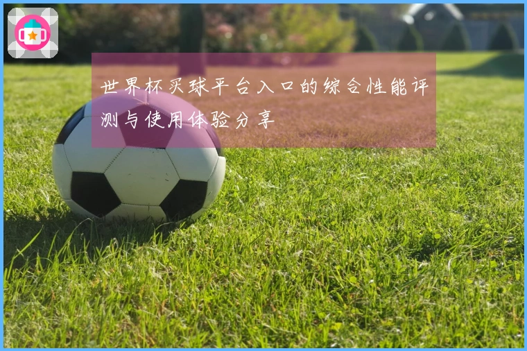 世界杯买球平台入口的综合性能评测与使用体验分享