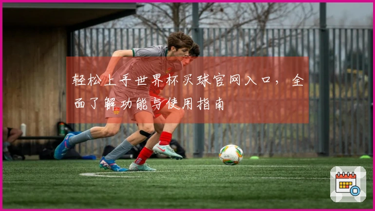 轻松上手世界杯买球官网入口，全面了解功能与使用指南