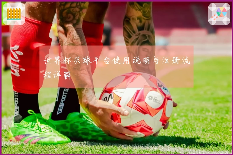 世界杯买球平台使用说明与注册流程详解