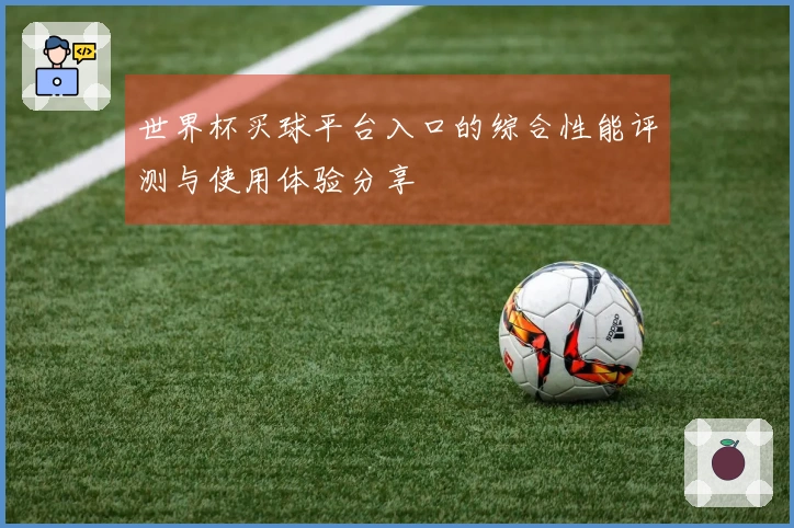 世界杯买球平台入口的综合性能评测与使用体验分享