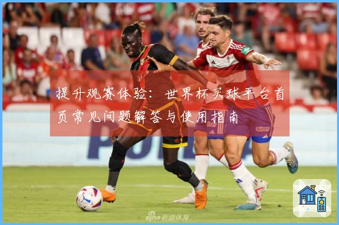 提升观赛体验：世界杯买球平台首页常见问题解答与使用指南