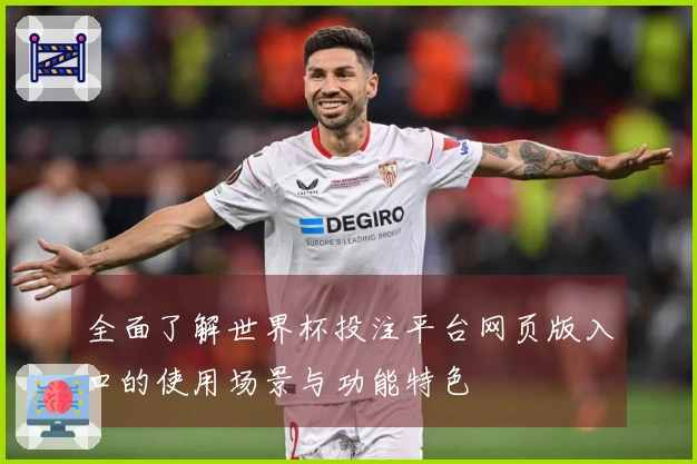 全面了解世界杯投注平台网页版入口的使用场景与功能特色