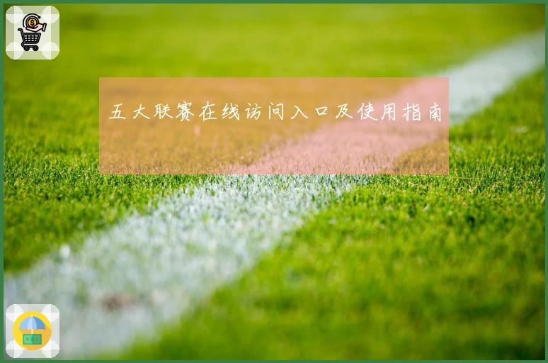 五大联赛在线访问入口及使用指南