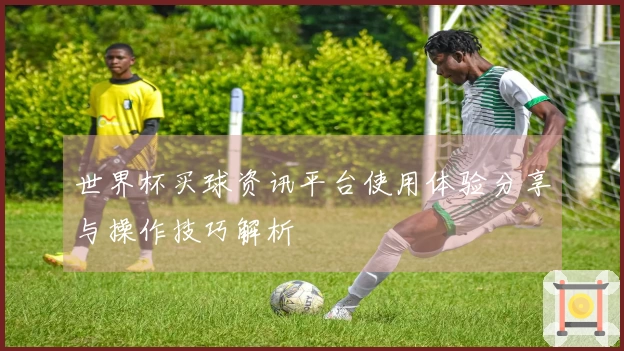 世界杯买球资讯平台使用体验分享与操作技巧解析
