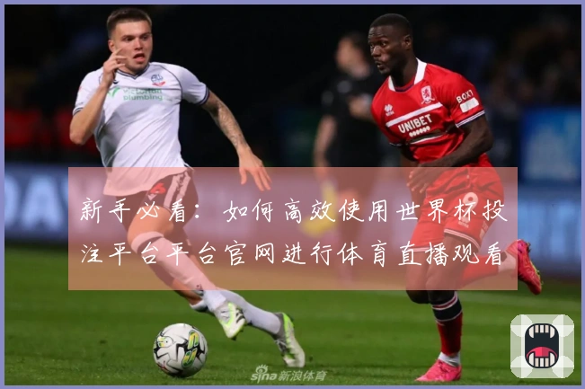新手必看：如何高效使用世界杯投注平台平台官网进行体育直播观看和体验提升
