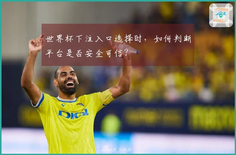 世界杯下注入口选择时,如何判断平台是否安全可信?