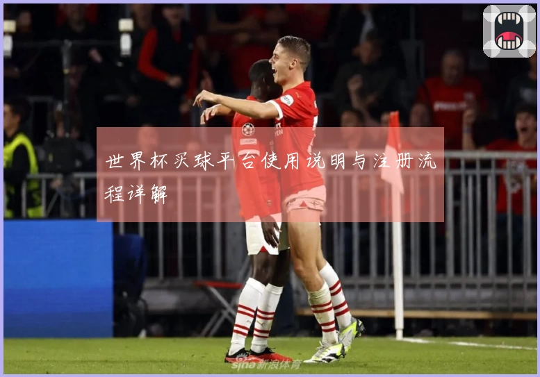 世界杯买球平台使用说明与注册流程详解