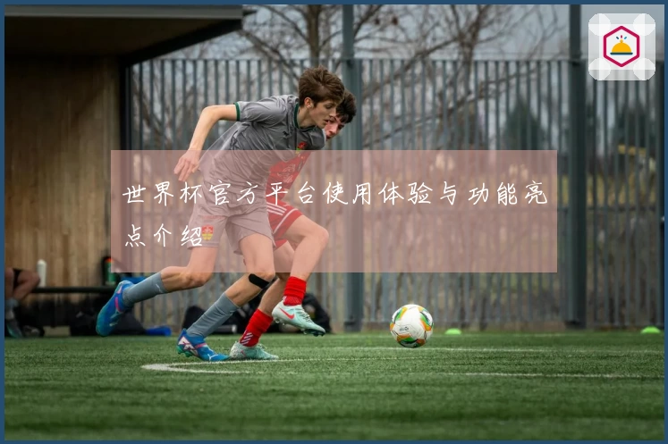 世界杯官方平台使用体验与功能亮点介绍