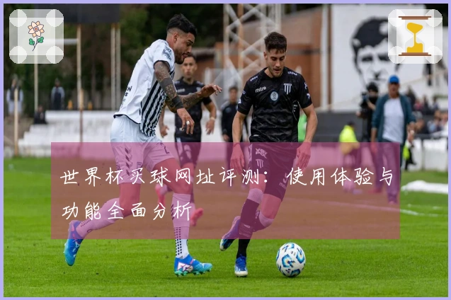 世界杯买球网址评测：使用体验与功能全面分析
